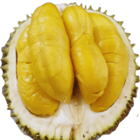 Durian musangking