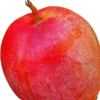 Manga Merah