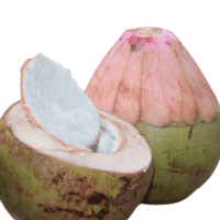kelapa 3in1 kopyor wulung